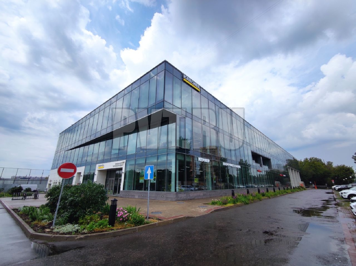 1131782991-6.jpg